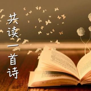 征集：【共读一首诗】《静夜思》 王志谦朗诵·阅读中国