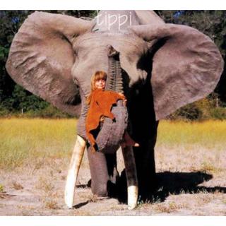 Tippi | 阿布，我的大象哥哥