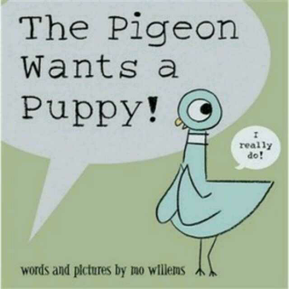 picture book《the pigeon wants a puppy!》