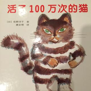 活了一百万次的猫