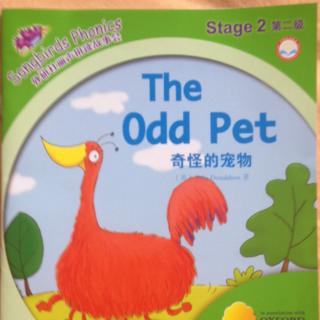 The Odd Pet