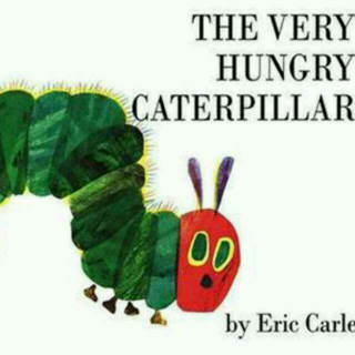 picture book 《the very hungry caterpillar》