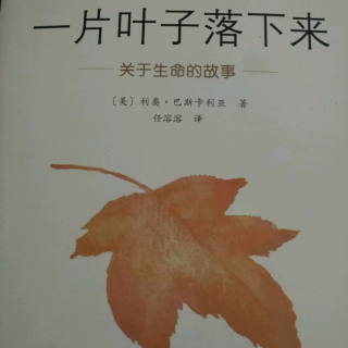 一片叶子落下来