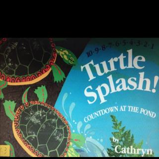 6.Turtle Splash