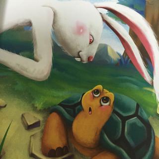 萤火虫世界经典童话—龟兔赛跑20150818