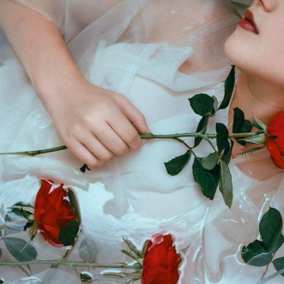 红玫瑰与白玫瑰·初识