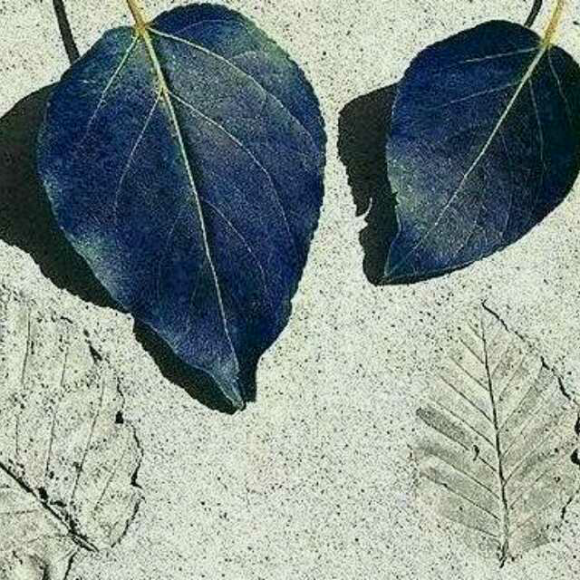 00:00 00:00  13 严重的时刻(译者:陈敬容) 里尔克  此刻有谁在世上