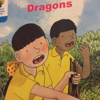 牛津阅读树DD3-3 Dragons