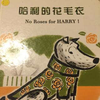 哈利的花毛衣