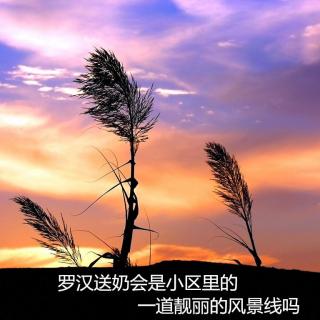 202【芒格说】罗汉送奶会是小区里的一道靓丽的风景线吗？