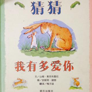 【唐老师讲绘本】猜猜我有多爱你