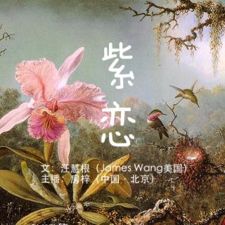 吾同之音《紫恋》连载（序）文：James Wang（主播：房梓）