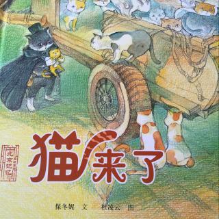 北京记忆《猫来了》