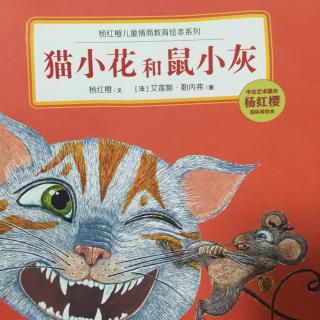 杨红樱情商教育绘本（猫小花和鼠小灰）