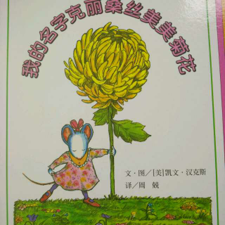 我的名字克丽桑丝美美菊花