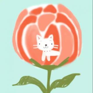 玫瑰与小猫（主播：元素12）