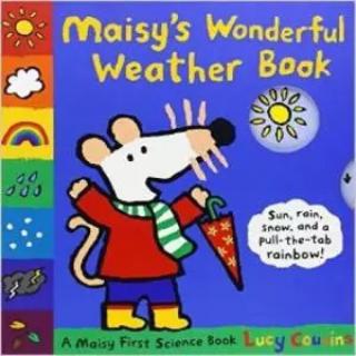 ☀️☔️❄️Maisy's wonderful weather book💨⛅️⭐️