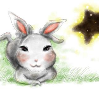 巧克力星星和兔子笨笨（主播：尘箫、小K、神马芯、深度）