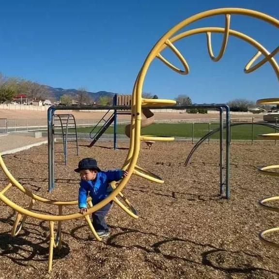 monkey bars 猴子架