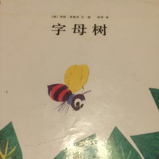 字母树