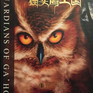 猫头鹰王国1⃣️暗算-第一章记忆中的窝