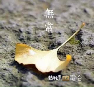 【枕邊獨白】心若累了，讓它休息