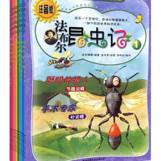 法布尔昆虫记（二）  嗜尸者-麻蝇--1  高鼻蜂和寄生蝇的游戏