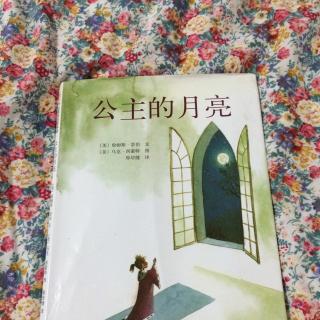 公主的月亮1