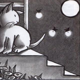 《小猫咪追月亮》-杨政爸爸