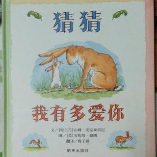 猜猜我有多爱你