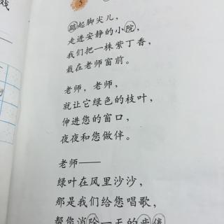 一株紫丁香