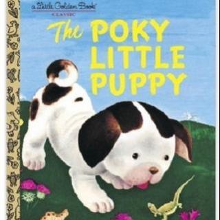 双语小主播美国Josh:《The Poky Little Puppy》