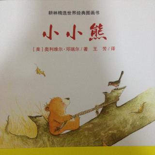 Sunny Story Time：小小熊