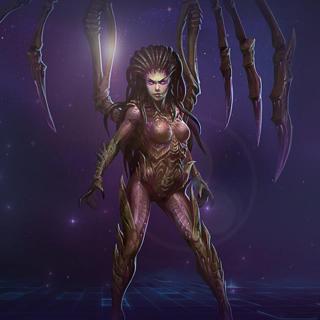 风暴学院凯瑞甘