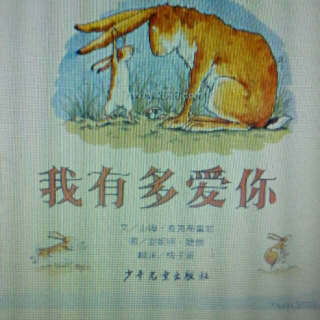 《猜猜我有多爱你》