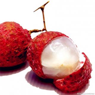 经典课文回顾荔枝肖复兴