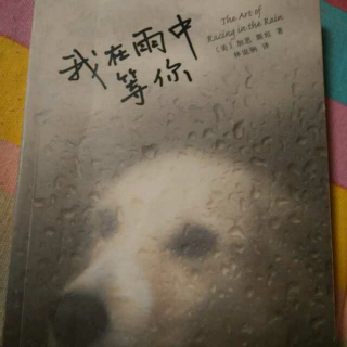 我在雨中等你  前言