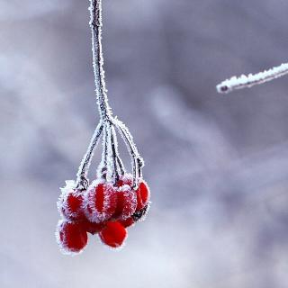 夜晚的诗歌：我愿意是激流