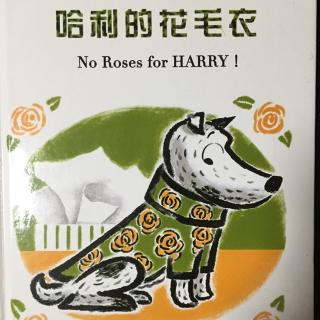 哈利的花毛衣