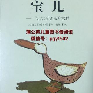 绘本故事：宝儿