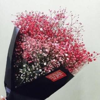 2015-09-251119主播:super_e的满天星1760分享到:分享到微信分享到