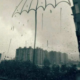 台北下着雨