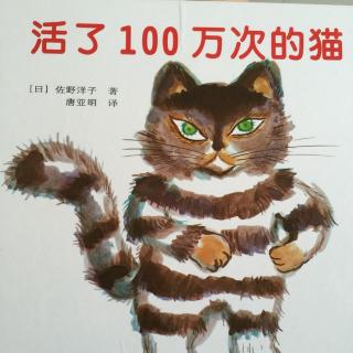 活了100万次的猫