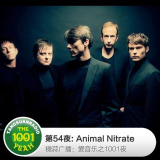 糖蒜爱音乐之1001夜：Animal Nitrate