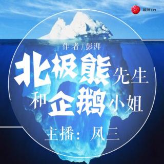 《北极熊先生和企鹅小姐》文/彭湃 主播：凤三