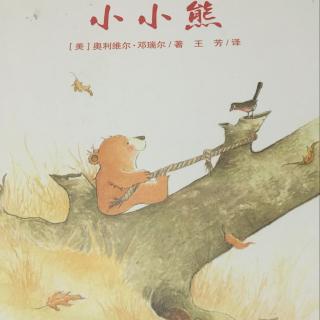 《小小熊》