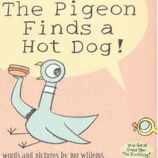 鸽子捡到一个热狗-Pigeon Finds A Hotdog