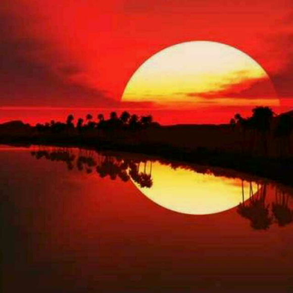 【隔代家长:要勇于放手给孩子父母】在线收听_顾晓鸣:教育孩子难吗