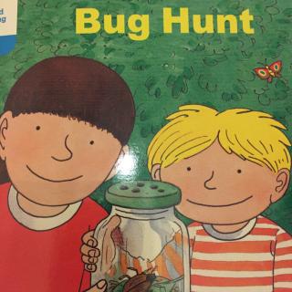 牛津阅读树DD3-8-Bug Hunt