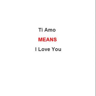 Ti Amo（意大利语：我爱你）（意大利语版）